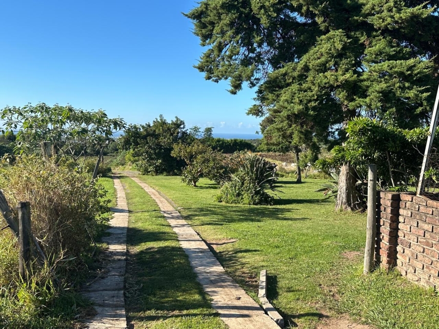 Commercial Property for Sale in Graceland Eastern Cape